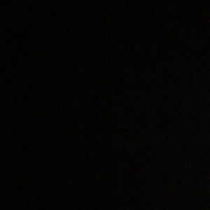 Meet your Posher, Zoey